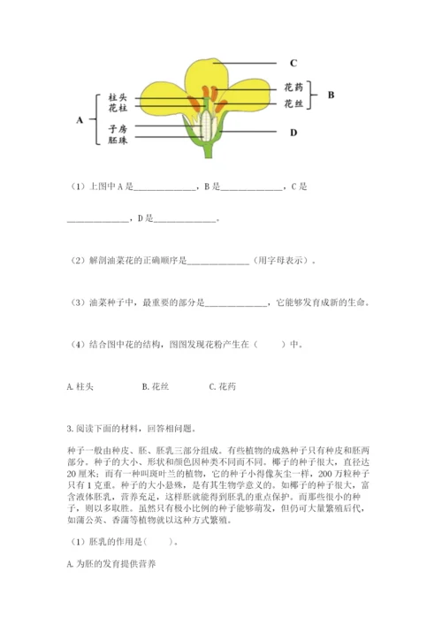 科学四年级下册第一单元《植物的生长变化》测试卷（夺冠系列）.docx