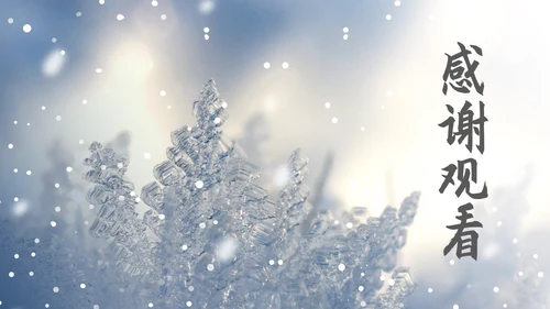 蓝色小清新小雪节气PPT模板