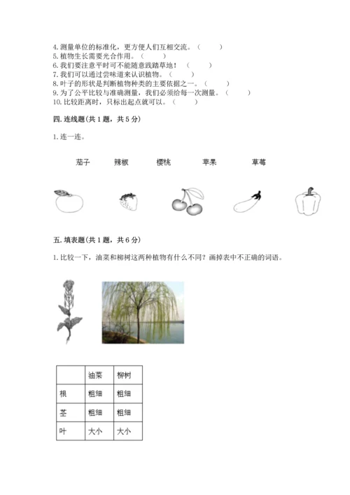 教科版一年级上册科学期末测试卷【各地真题】.docx