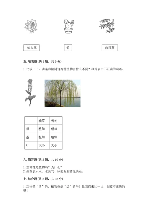 教科版科学一年级上册第一单元《植物》测试卷【b卷】.docx