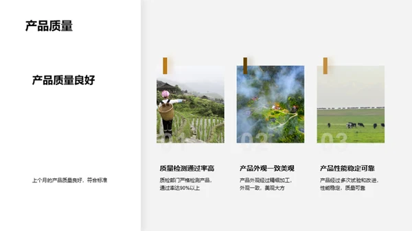 淀粉制品生产优势