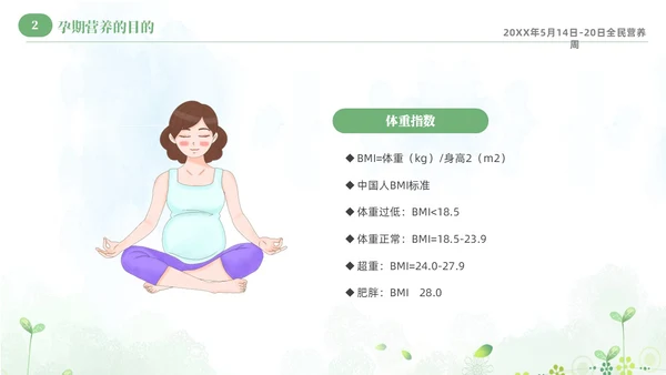 绿色清新淡雅孕期营养知识科普课件PPT全民营养周