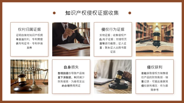 棕色商务风知识产权保护制度培训PPT