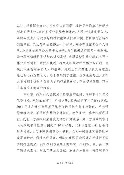 公安内审工作经验材料.docx