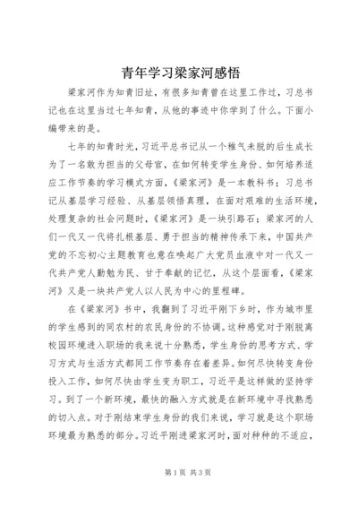 青年学习梁家河感悟.docx