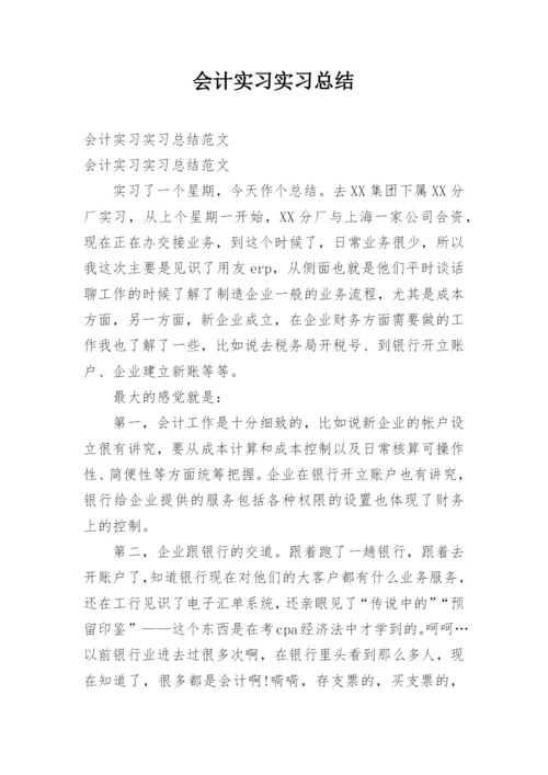 会计实习实习总结.docx