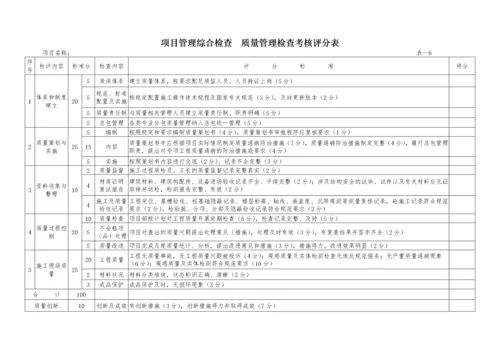 项目管理检查考核评分表.docx