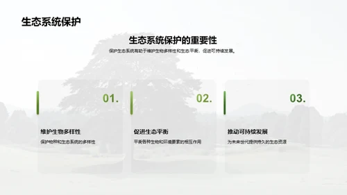 森林创新与绿色未来