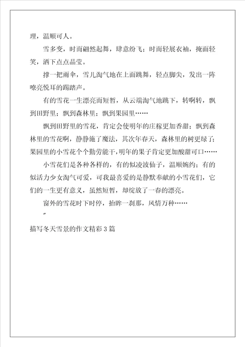 描写冬天雪景的作文精彩3篇