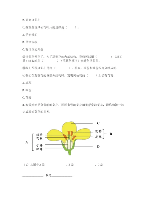 科学四年级下册第一单元植物的生长变化测试卷及完整答案（典优）.docx