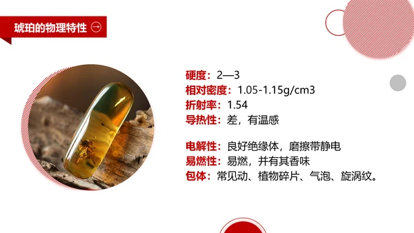 典雅轻奢琥珀藏品专业知识讲座PPT模板