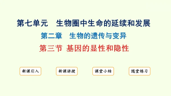 7.2.3基因的显性和隐性-八年级生物人教版下学期同步精品课件(共36张PPT)