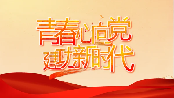 中国精神党建党支部年年终总结PPT