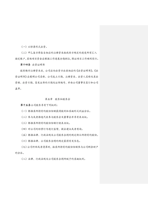 PPP专项项目公司公司综合章程.docx