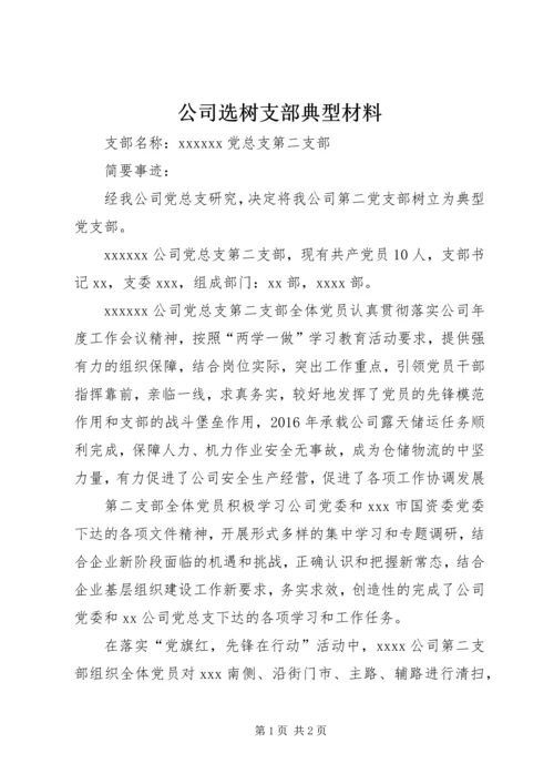 公司选树支部典型材料.docx