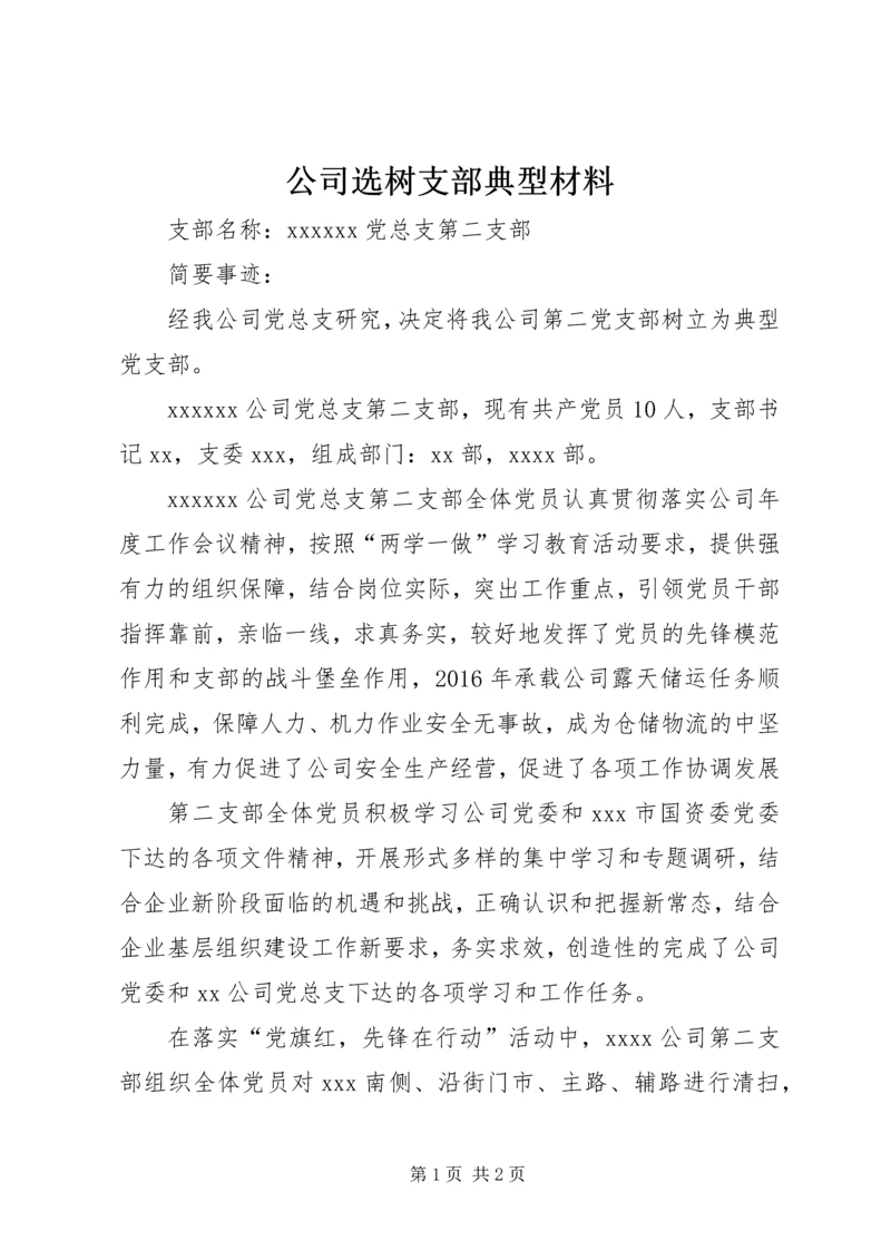 公司选树支部典型材料.docx