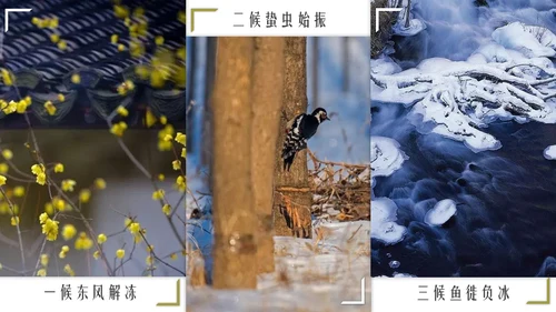 立春简约风二十四节气实践教学课件通用PPT模板