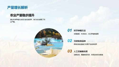 农业产量季度报告