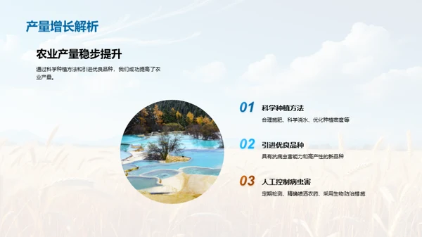农业产量季度报告