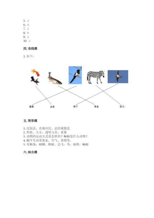 教科版一年级下册科学期末测试卷附参考答案（轻巧夺冠）.docx