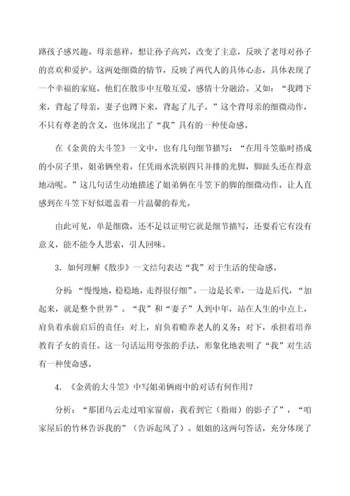 散步和金黄的大斗笠教案设计