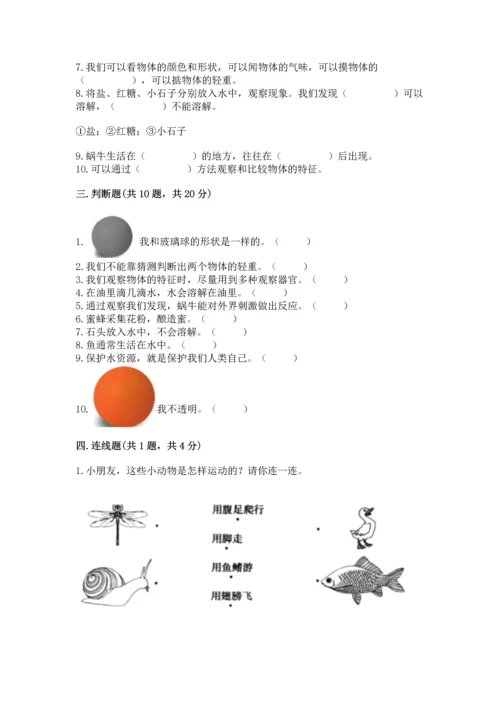 教科版一年级下册科学期末测试卷【突破训练】.docx