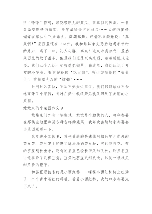 姥姥家的小菜园作文.docx