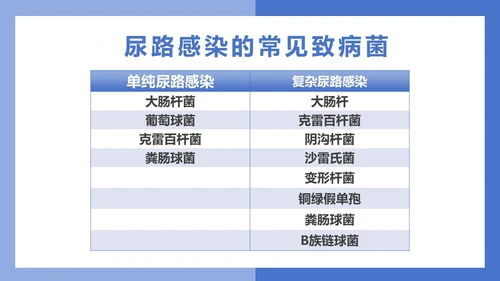 医疗风医疗泌尿系感染PPT模板