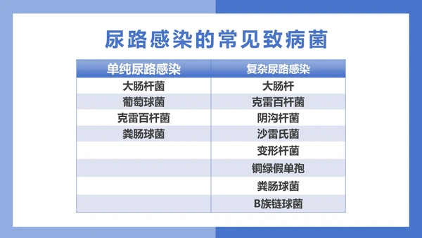医疗风医疗泌尿系感染PPT模板