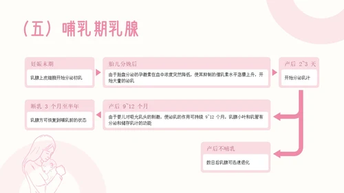 粉色插画简约商务乳房护理乳腺护理培训PPT模板