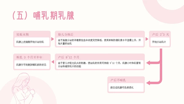 粉色插画简约商务乳房护理乳腺护理培训PPT模板