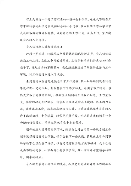 个人试用期工作报告范文