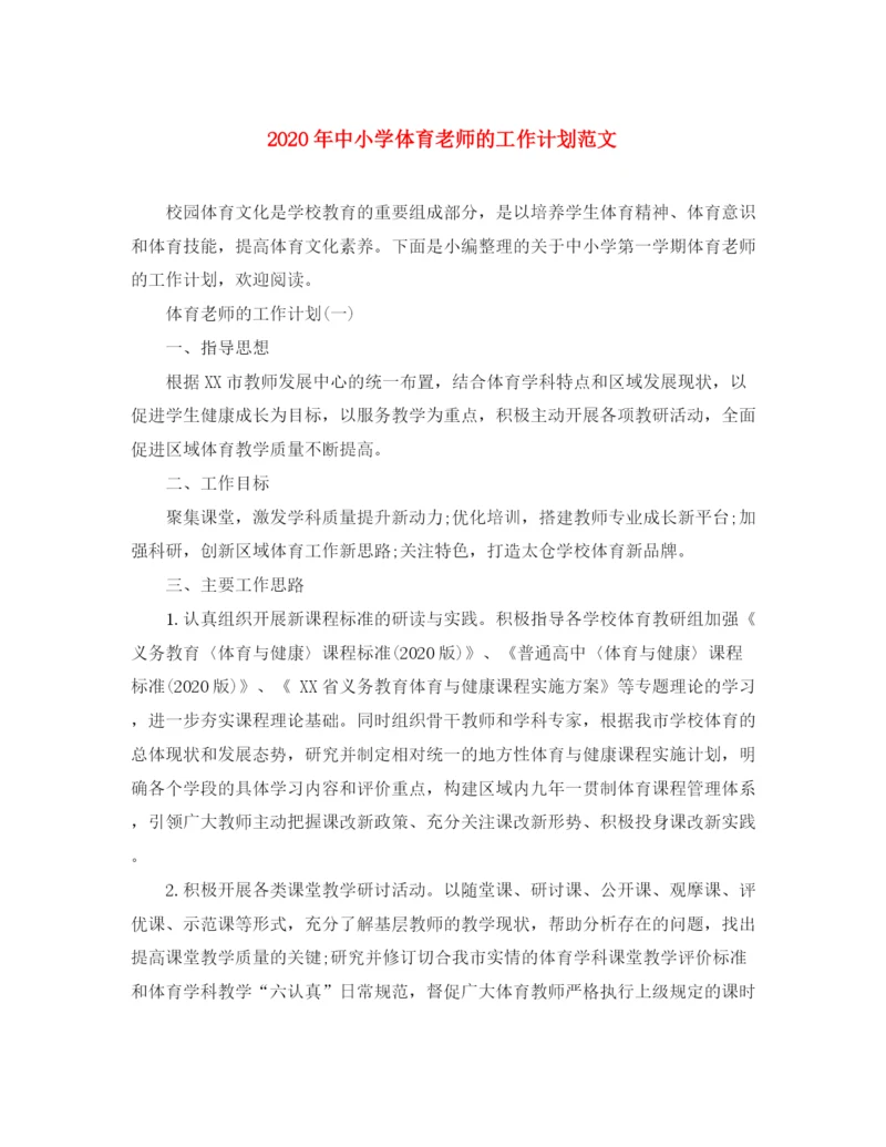 精编之年中小学体育老师的工作计划范文.docx