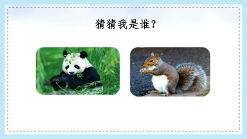 统编版语文二年级上册 课文1  口语交际 有趣的动物  课件