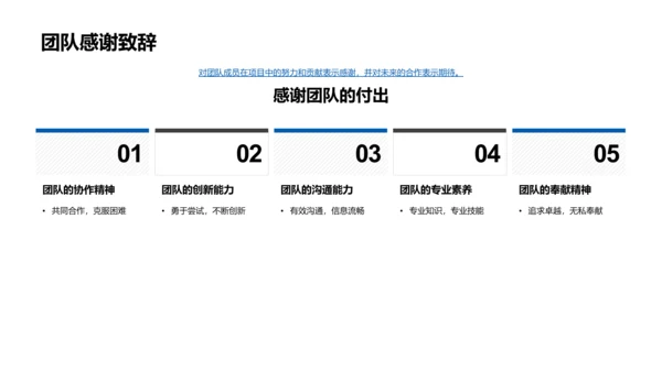 项目年度总结报告