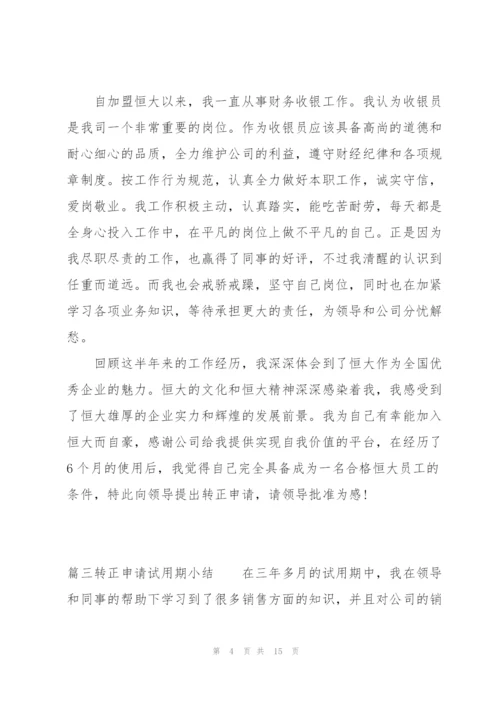 转正申请试用期小结七篇.docx