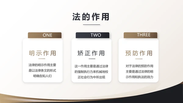 治法宪法政府法律年终工作总结汇报动态PPT
