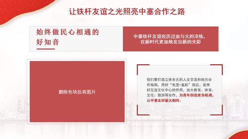 让铁杆友谊之光照亮中塞合作之路政治学习日主题PPT课件