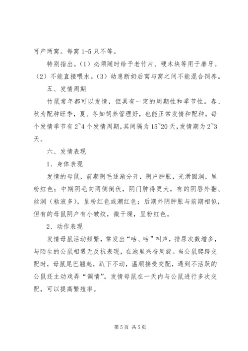 竹鼠养殖计划书 (3).docx