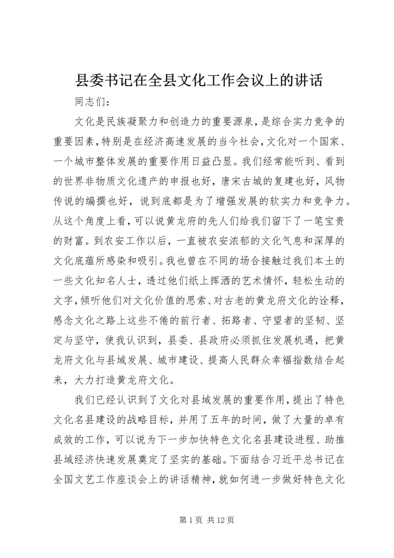 县委书记在全县文化工作会议上的讲话 (2).docx