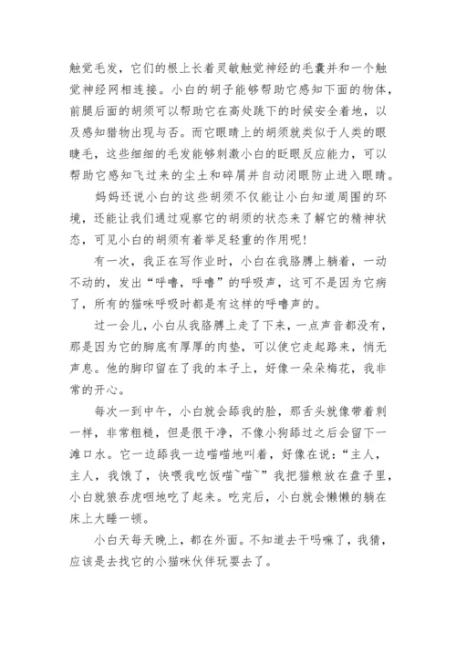 介绍一种事物猫五年级作文5篇.docx
