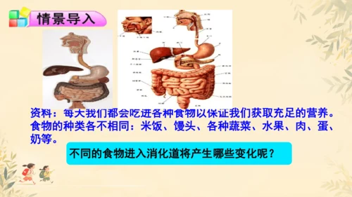 初中生物学人教版（新课程标准）七年级下册第4.2.2 消化和吸收课件(共21张PPT)