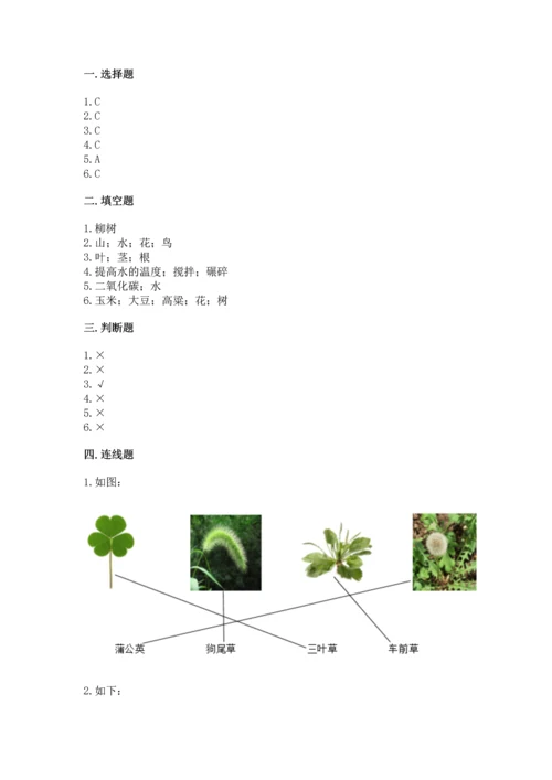 教科版科学一年级上册第一单元《植物》测试卷（突破训练）.docx