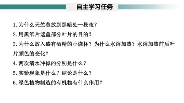 3.4 绿色植物是生物圈中有机物的制造者 课件 七年级生物上学期（人教版）(共27张PPT)