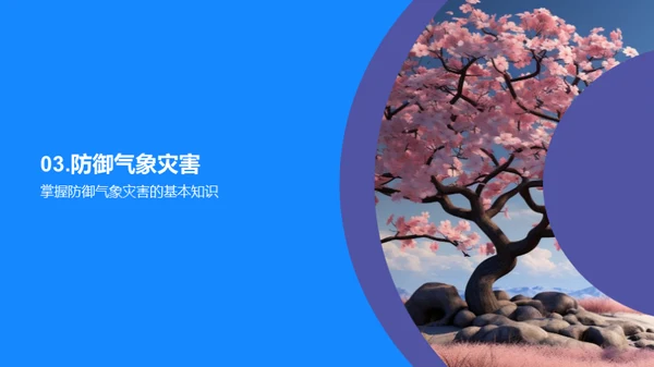 春分气象防灾策略