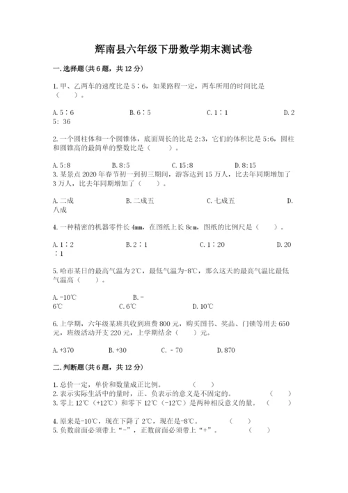辉南县六年级下册数学期末测试卷完整参考答案.docx