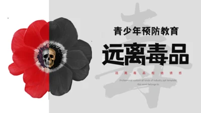 青少年禁毒宣传安全教育通用PPT模板