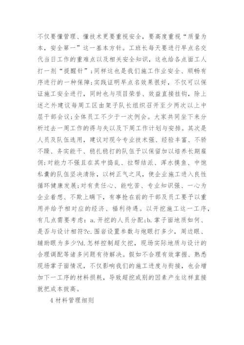 项目管理论文.docx