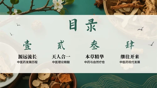 绿色高级中国风中医中药传统文化科普PPT模板