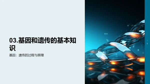 解读DNA：生命密码